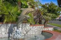 Club Wyndham Dolphin's Cove