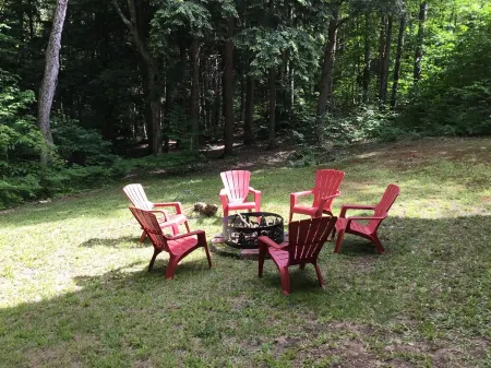 Small log cabin in the woods