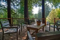 Luxury Redwoods Estate Compound w/ Hot Tub and Fire Pit