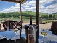 NEW LISTING! Mountain Cabin Getaway with a fire pit,WiFi, Dish Network,Dogs OK