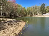 Experience Kentucky Lake out the back door! Spacious 4-bedroom retreat awaits.