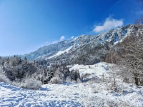 Tiny Haus Glockenalm - Sunny Place Hoteles en Fischbachau