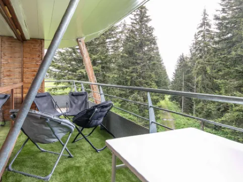 V.DU BACHAT Asters D