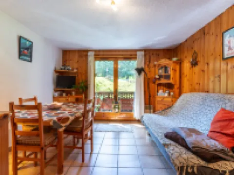 OURSONS 4 Hotels in Morillon