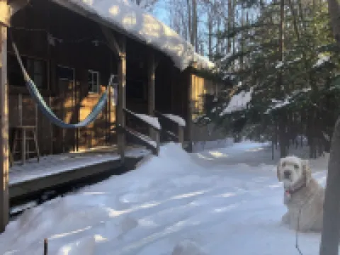 Cottage-7 Min to Ski Stratton-Woodstove-Firepit-Brook on Property-Views-Dogs OK