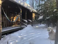 Cottage 7min to Ski Stratton-Wood Stove,Starry Skies,Fire Pit,Views,Dogs OK