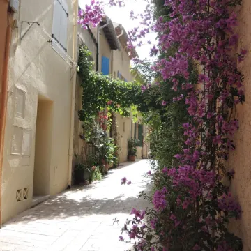 Le Pêcheur Revisité by Winkyhouse Cassis