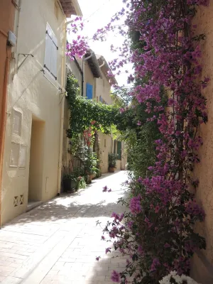Le Pêcheur Revisité by Winkyhouse Cassis