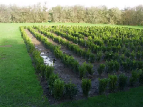 The Loft, Homeleigh Farm