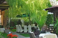 Hotel Vila Class Hotels in Satu-Mare