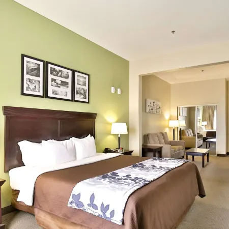 Sleep Inn & Suites University