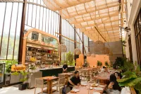 Ocean Sunrise Vung Tau