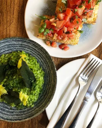 The Plume of Feathers