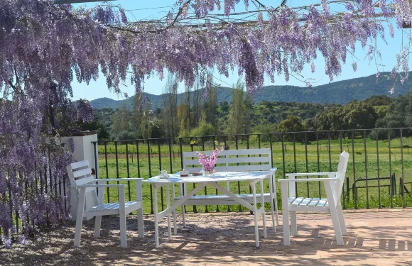 拉斯維加斯納韋蘇艾拉斯酒店