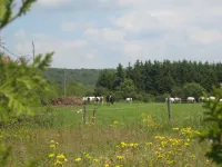 理想的家庭假期和朋友假期的小屋 - 大自然中的寧靜