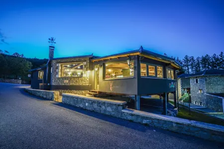 Pindos Resort Отели в г. Мецовон