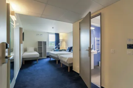 Ace Hôtel Thionville - Porte du Luxembourg Отели в г. Одэн-ле-Тиш