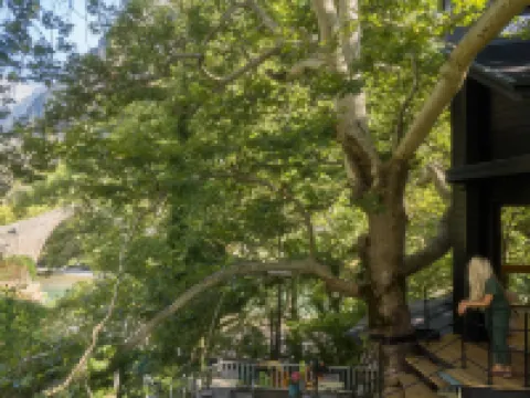 奧斯河樹屋 科尼察酒店