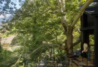 Aoos River Treehouse Hotels in Tymphaea