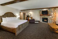 Stoney Creek Hotel Peoria - bar