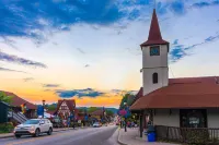 Cozy dog-friendly cabin w/private hot tub, jetted tub & great screened-in deck Hotels in White County
