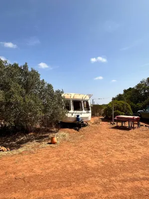 Michas caravan for 2 See the herd of horses from your bed  호텔