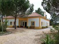 UA 25- Pine Villa - Homestays