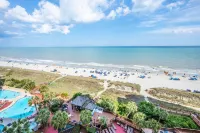 Stunning Pools and Ocean Views - Modern Coastal Paradise