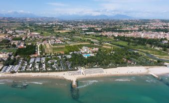 Club del Sole Stork Family Collection