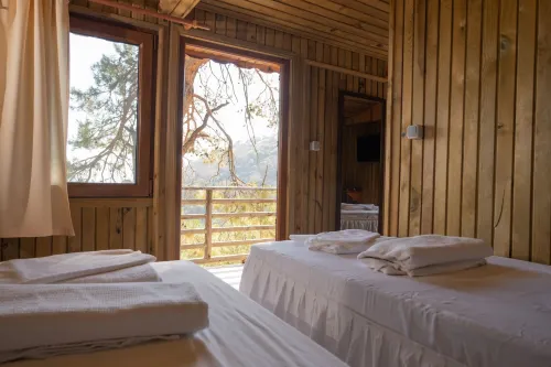 Tree Houses Hotel Hotel di Uzunyurt Mahallesi