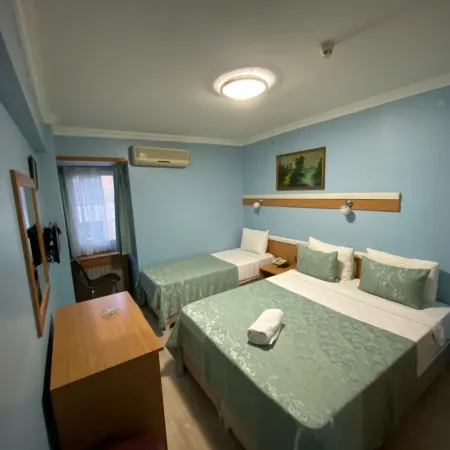 Hotel Oz Villa Отели рядом с достопримечательностью «Аксарай»