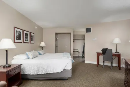 Fantastic Suite with King Bed and Beautiful Bay View!