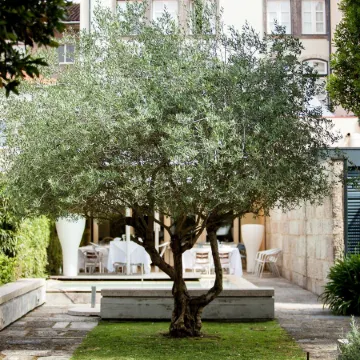 Hotel Bracara Augusta