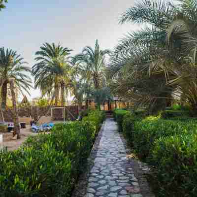 Seliyaa Hotel Hotel Exterior