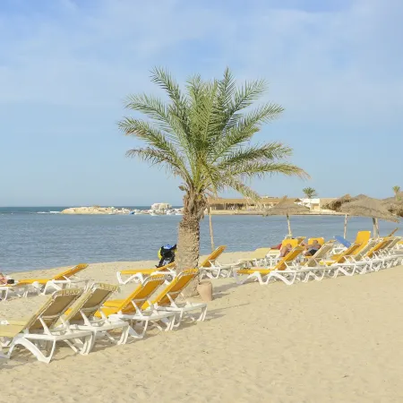 Monarque Dar Jerba Zahra