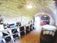 Hotel Triglav - ที่มีบาร์