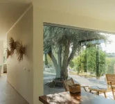 Herdade da Rocha - Boutique Lodge Hotels in Alpalhao