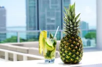 Novotel Miami Brickell - Scenic