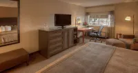 Best Western Plus The Normandy Inn & Suites Hotels near The Commons