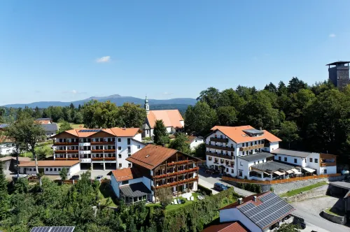 Panoramahotel Grobauer فنادق في Neuschonau