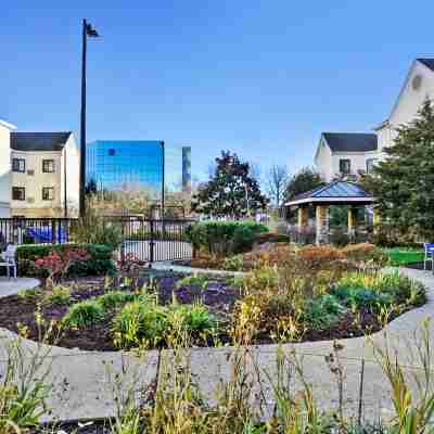 Staybridge Suites COLUMBIA - BALTIMORE by IHG Hotel Exterior