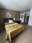 Studio Apartments