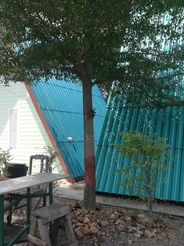 รูปภาพของบึงหลวง รีสอร์ท