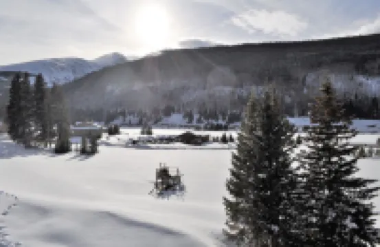 藍河公寓式客房 3 床 2 衞酒店