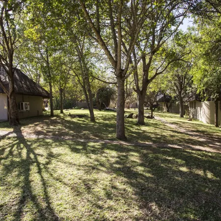 Nyati Safari Lodge