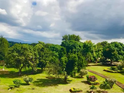 Paradise Reggae Resort Hotéis em 