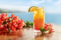 Round Hill Hotel & Villas - Bars