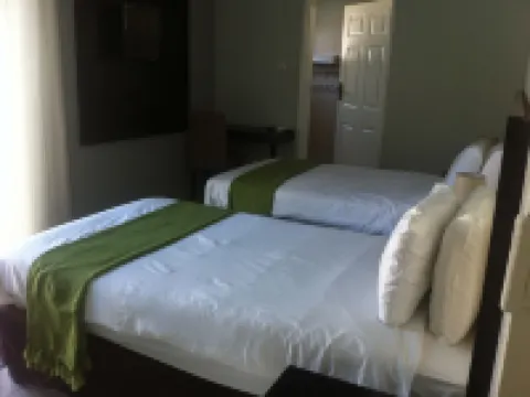 Cosy Palms Guest House