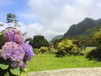 Hotel Campestre Hotels in 