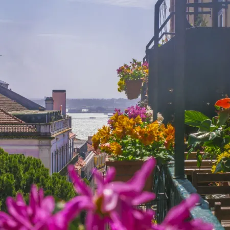 Casinha das Flores